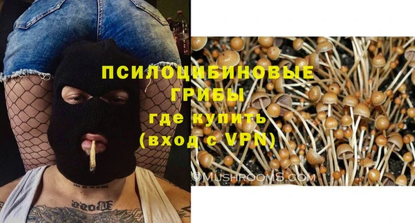 стафф Абдулино